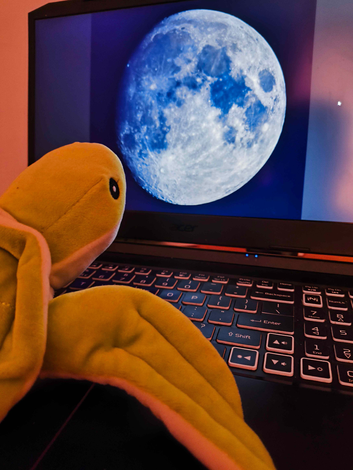 f5e6d8d8-c4f0-453f-a024-a7c1d0f1e905