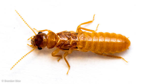 ad70ab2a-25ca-4cc3-b7a1-cf0567bc5b82