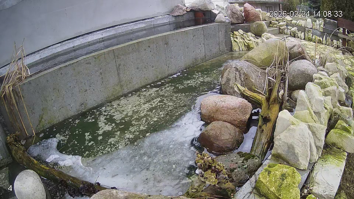 efe5bbc5-83e7-4af1-974a-54e0959b7f5e