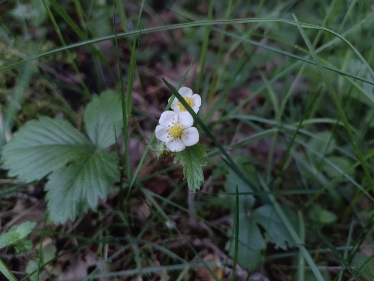 5572b01e-9c48-4928-a872-17d33541120a