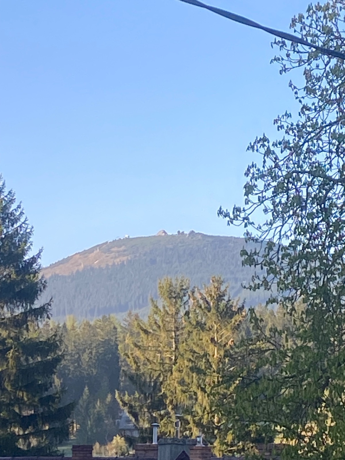 fb134481-d9cf-4ffd-ac7b-d703c6ed8a13