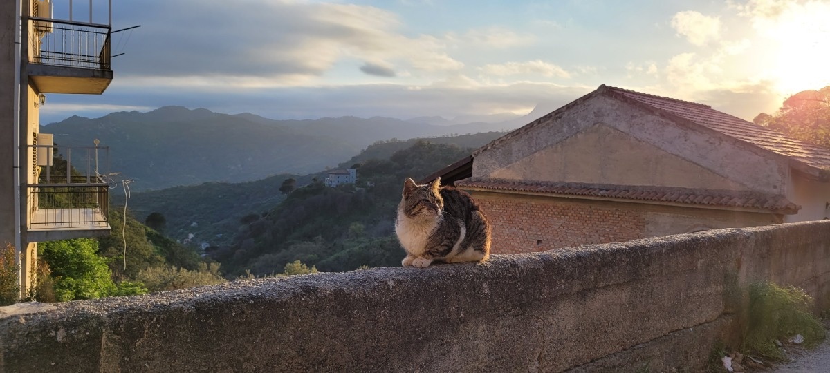 42c65725-b2ba-4644-b697-5f056dae1f8f