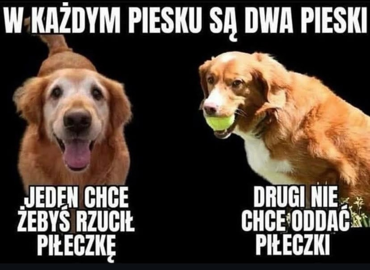 aa3f1bff-6a21-4447-b03b-0d1f39bc6e58