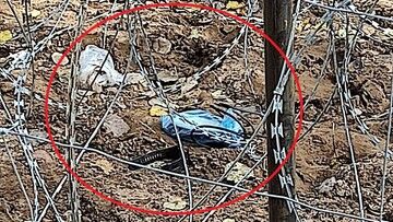 Straż Graniczna informuje o prowokacjach na granicy z Białorusią. "Znaleziono atrapę bomby"