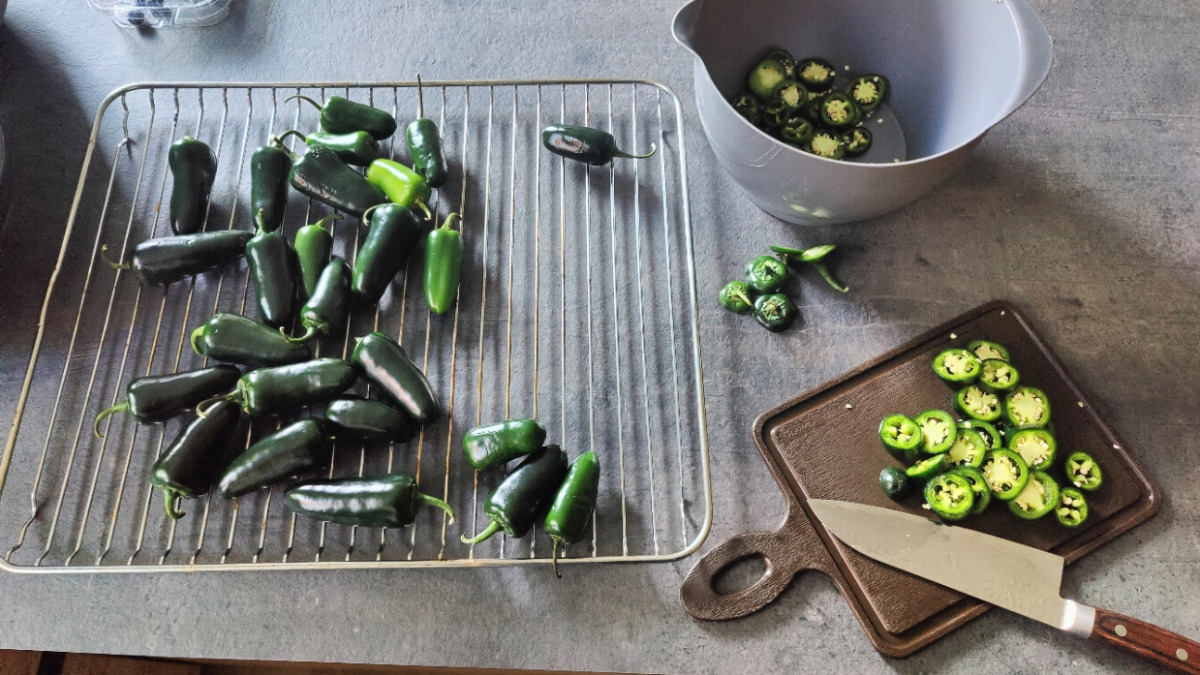 206f943b-2767-496d-af8f-522a70292850