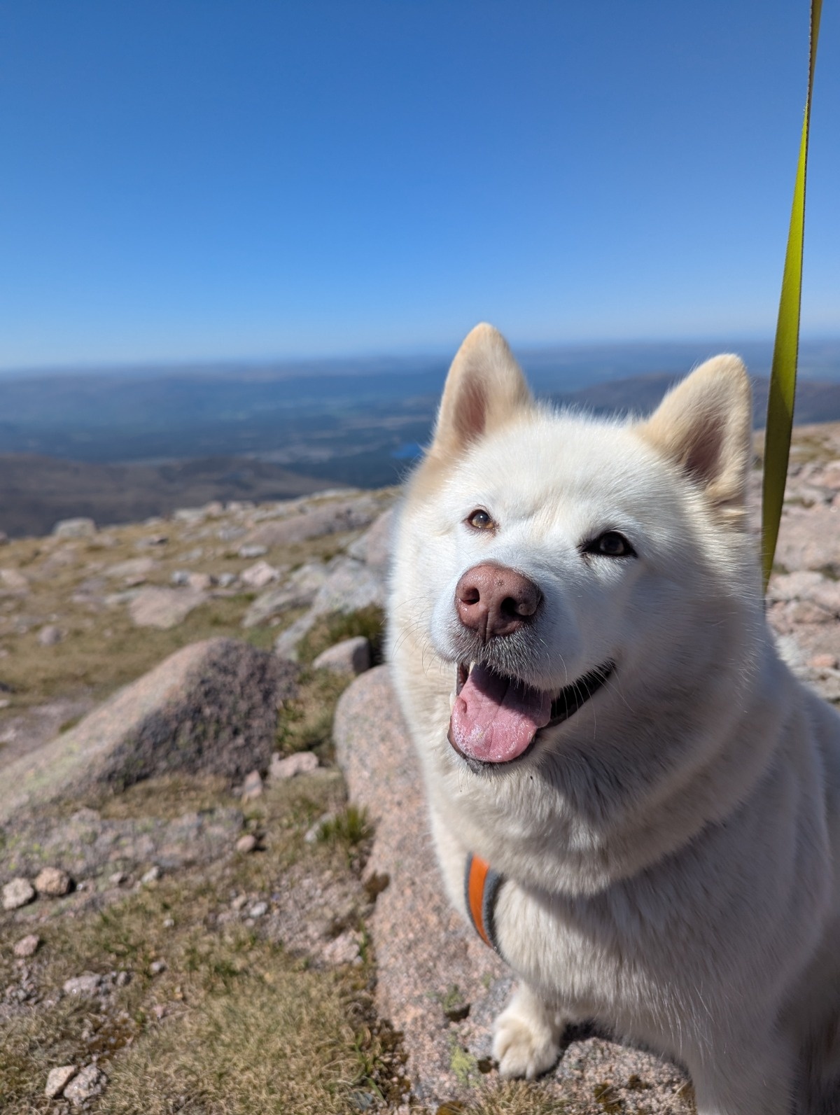 4af4f4e2-9449-4ab5-a5d1-a64b4435b689