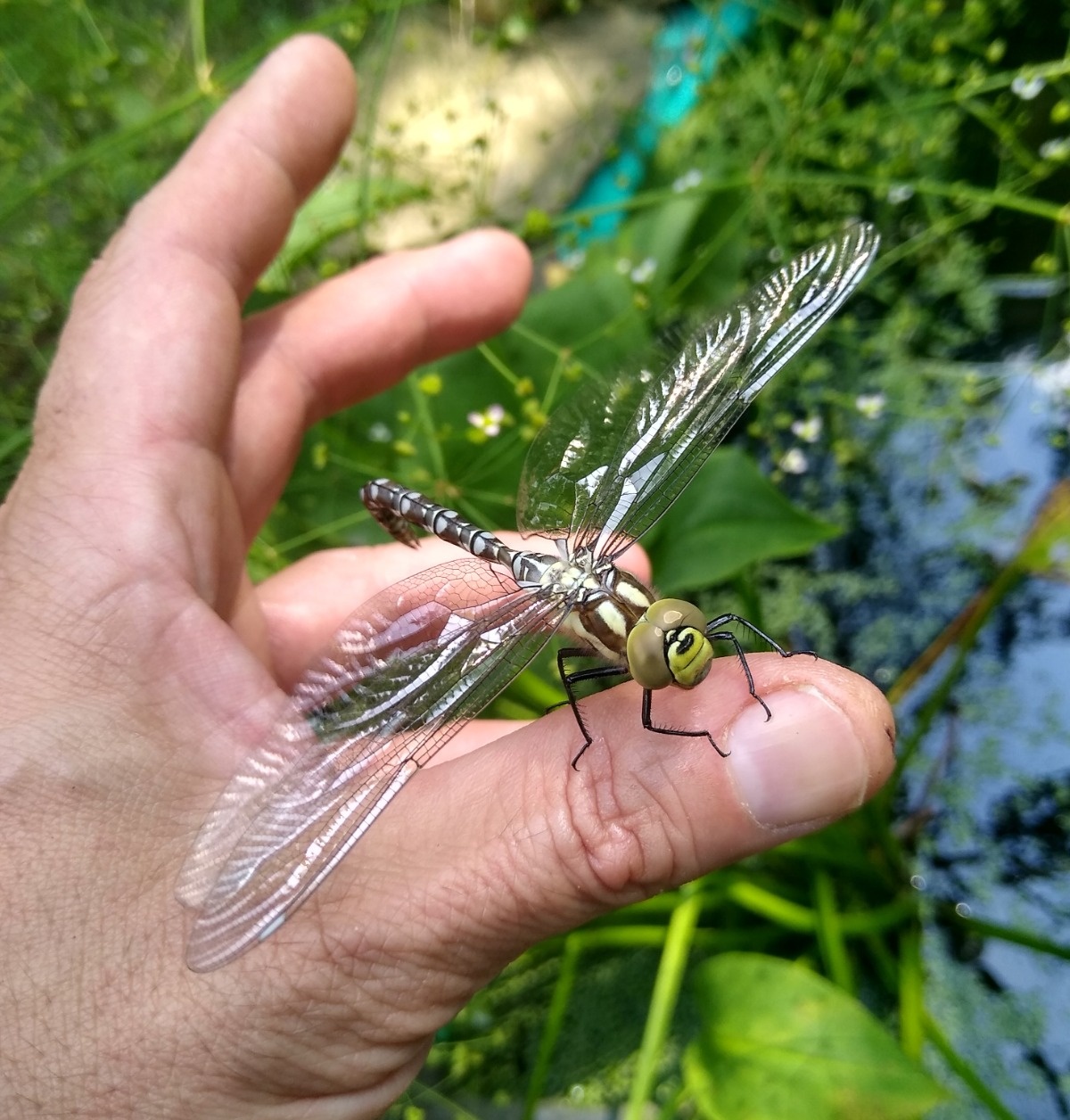 5f1b3ecc-2377-410d-976b-cd55984c4f26