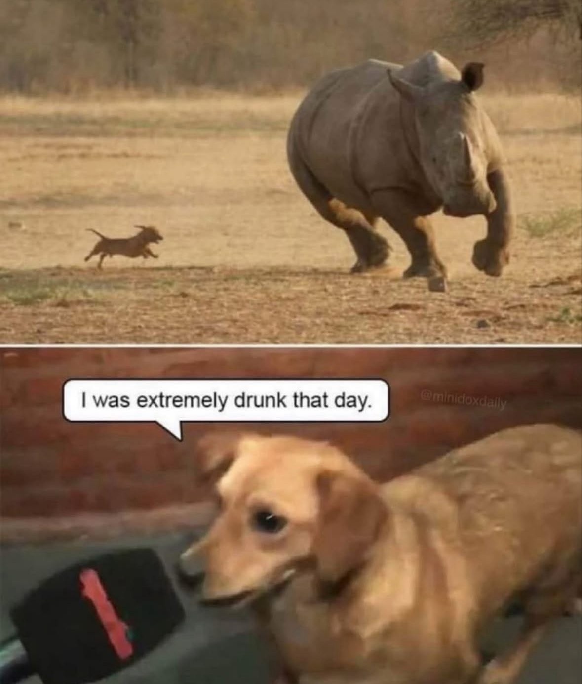 64655023-40a6-4fbb-bddd-3ff6687145ac