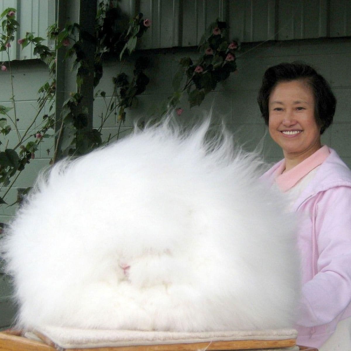 1eefe6bc-4290-452a-aa4a-b93a549c0d9e