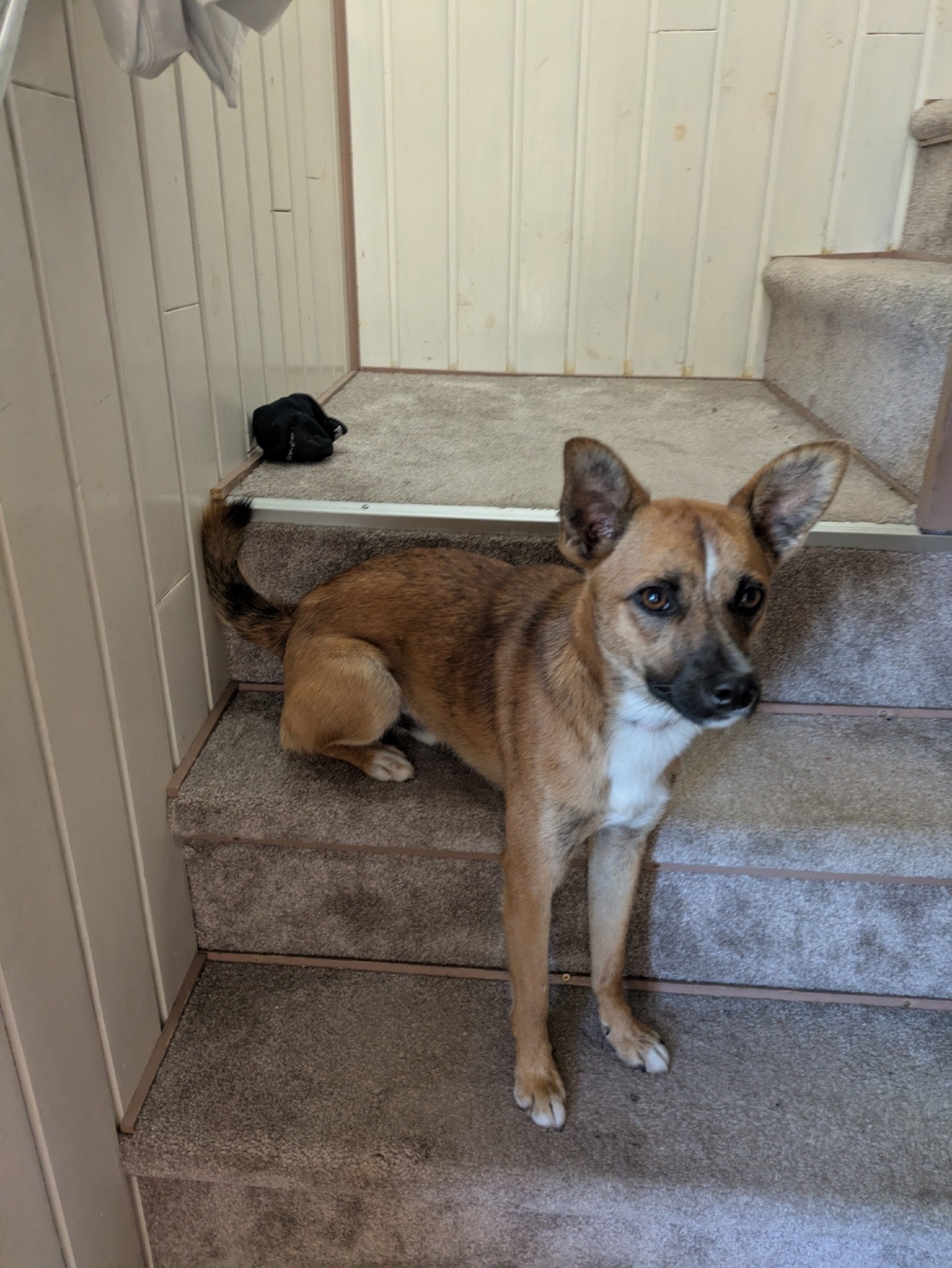 1ed9ebf5-e971-41cc-a712-be8751d02153