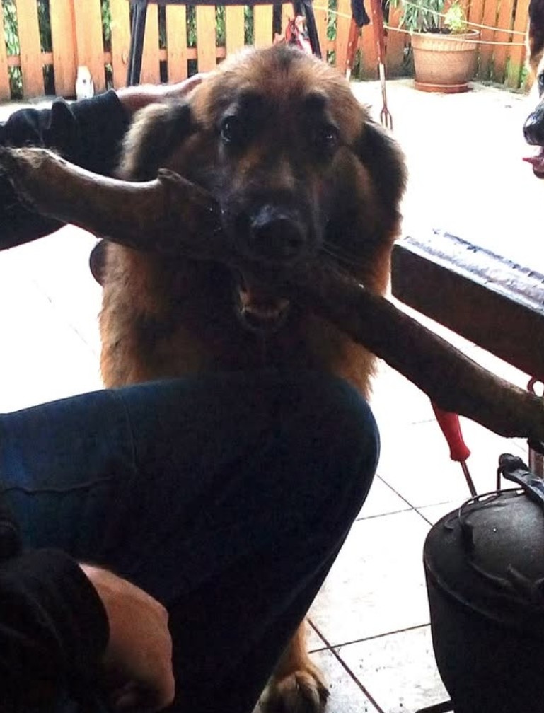 3eef500c-4967-4e2c-80df-9caabd775b5d