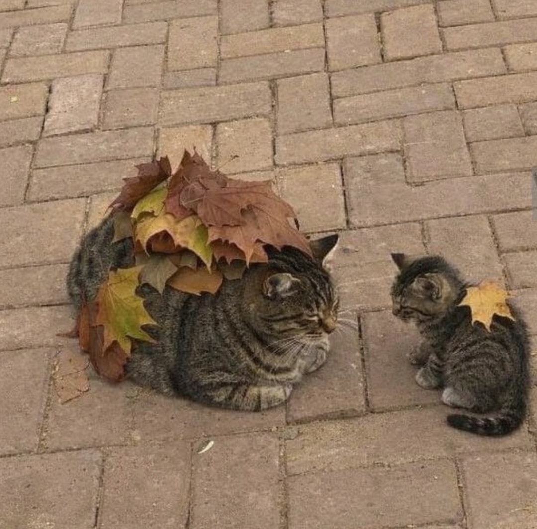 b631d9ba-6c84-4814-ba1e-c4fc4e820a29