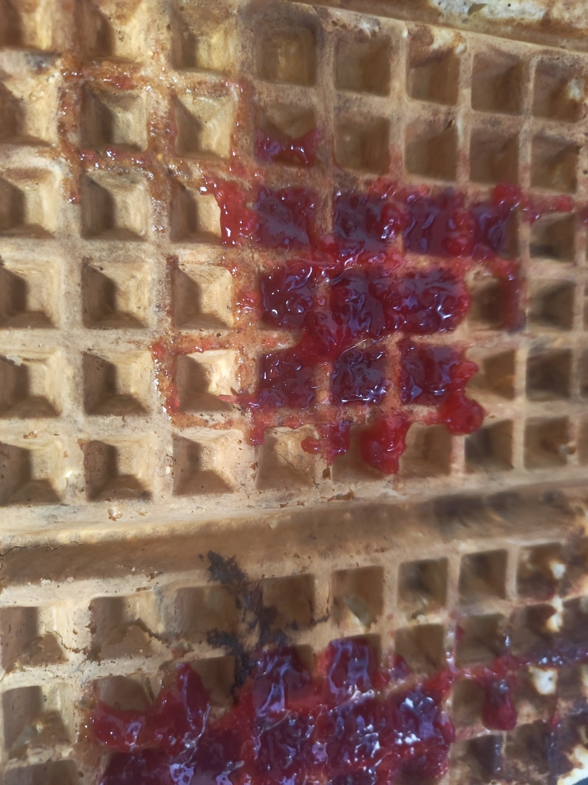 d31feba5-dadb-46d9-8324-48ba65114a46