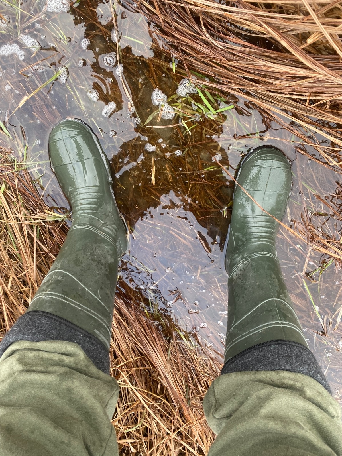 2e397a8e-16c5-4fd1-b515-dd8a2f7738e4