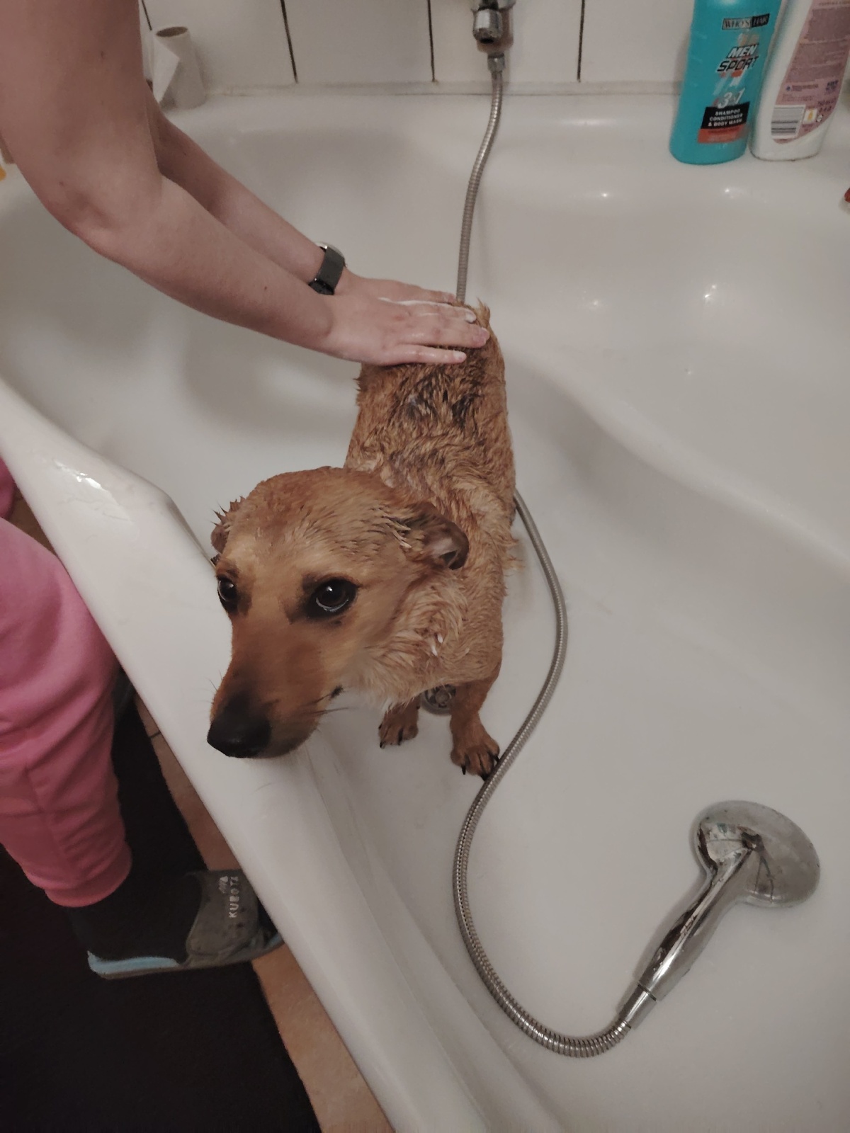 b5571963-12af-4dc0-b346-fdecea88d4ff