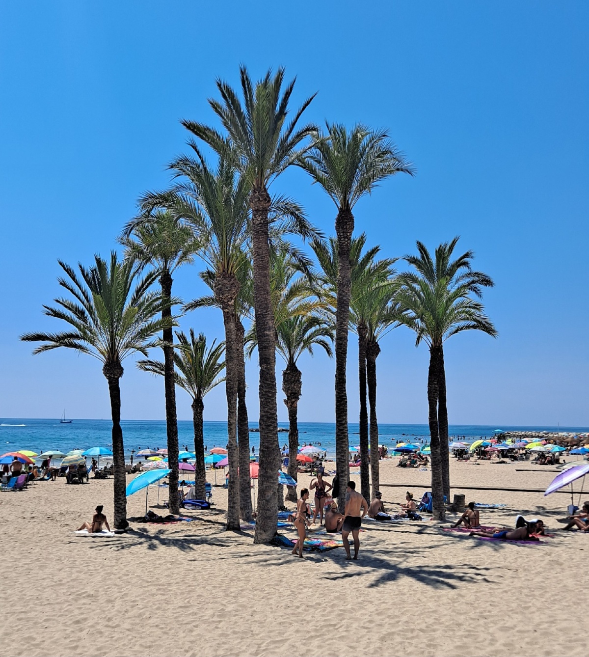 f9664b9a-c166-47ff-8690-1a1fa5a421dc