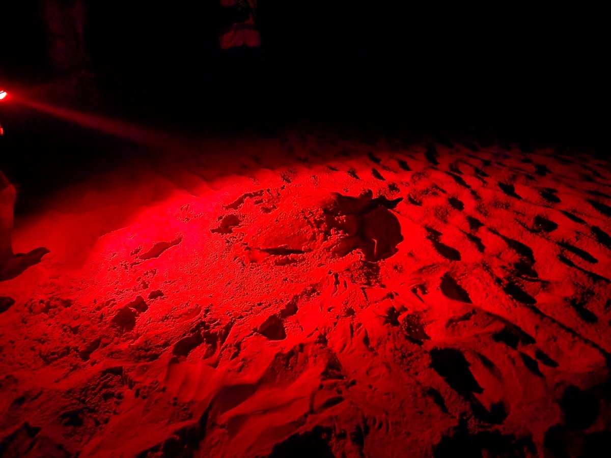 ac3609af-952d-4f16-b120-220cd46aa179