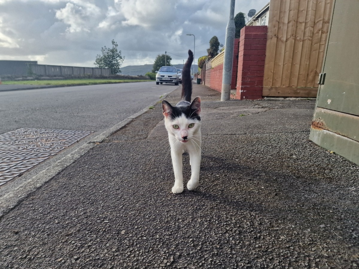 39b654f1-1fba-4b14-992e-e79d2321eaeb