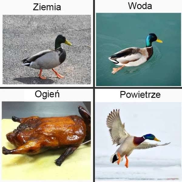 1b89752a-cc6d-416a-a660-44e469c374cc