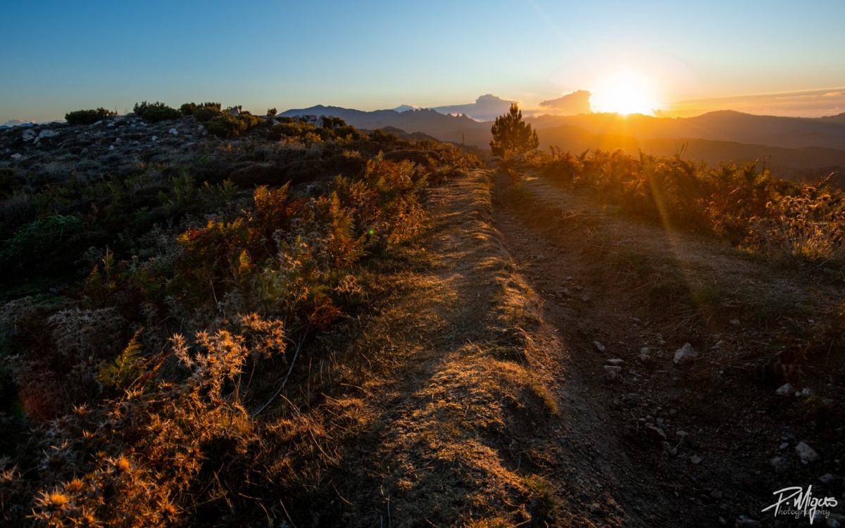 711d040e-0f97-456d-b0bd-c97e24302351