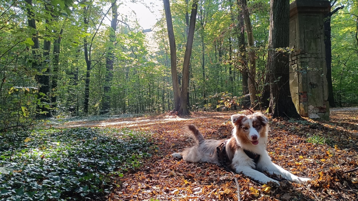 76aa41dc-2b4f-4b10-8e52-65b00371c73d