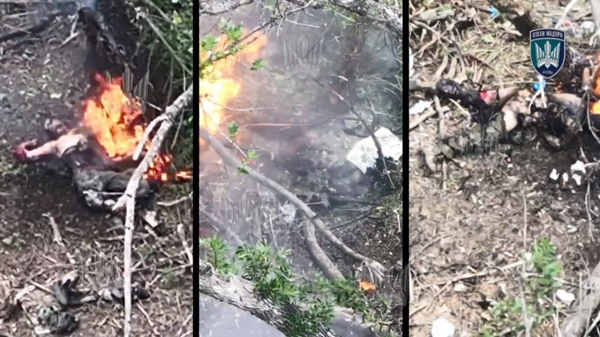 50ed1f4e-c059-4d57-bc67-b120207567d5