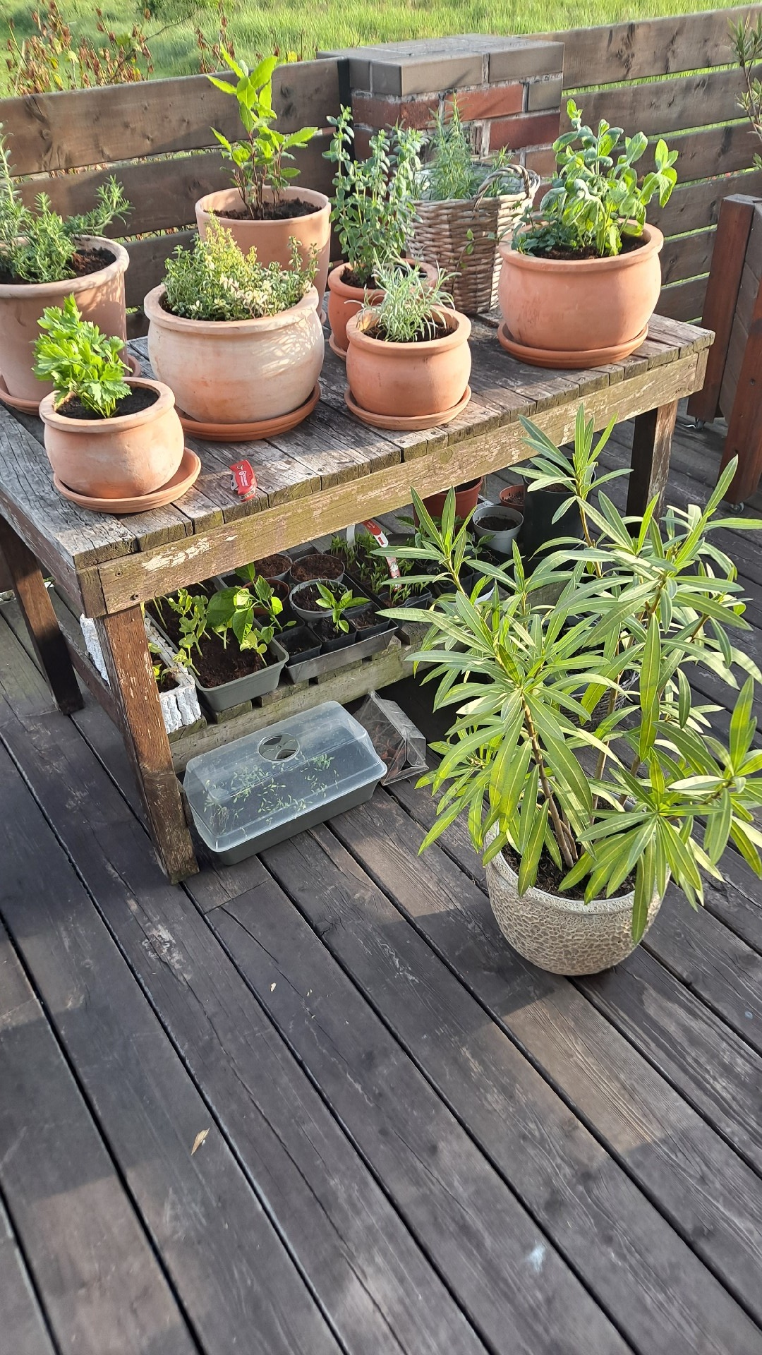 94f12342-2077-4b34-bcba-037aba4272c2