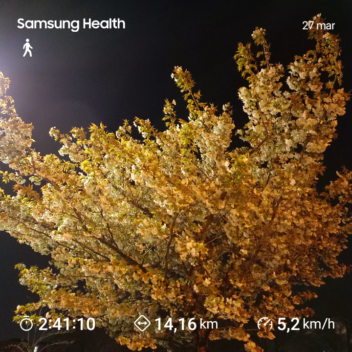 14976943-0b77-4290-898c-aa4ebddb7dcd