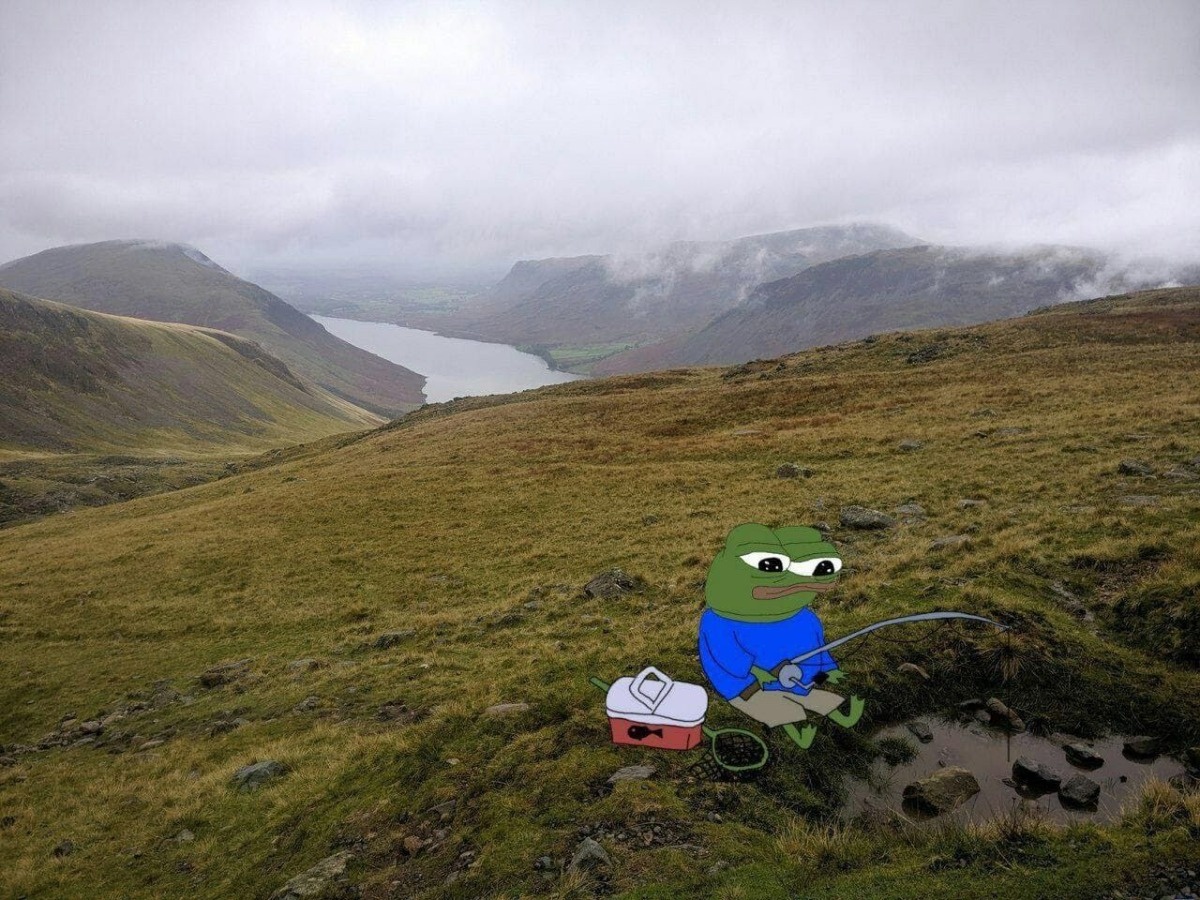 96f6fe89-41f4-45bc-be46-bccb02c8e222