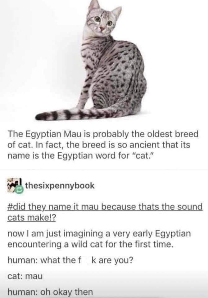 d91acebe-0b99-4b12-8bfc-8a0fd42c3a8e