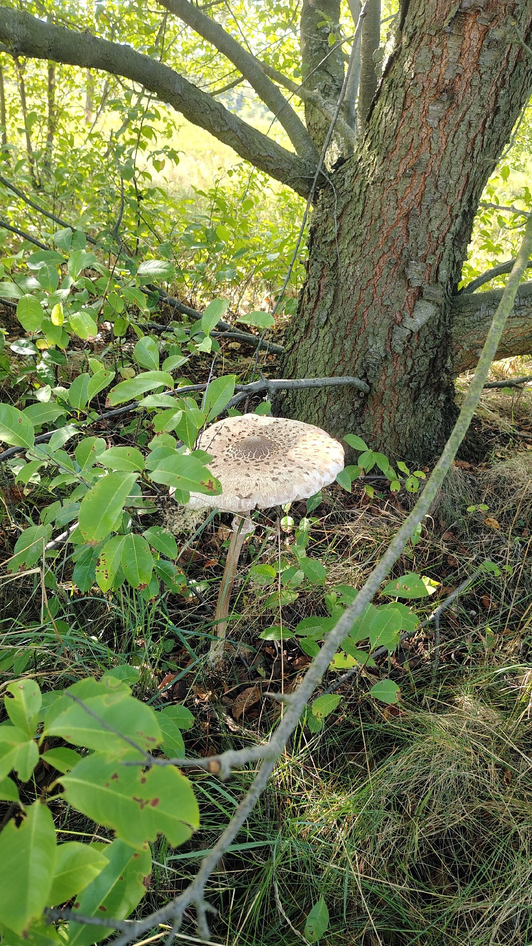 1d65ec80-b11c-4a06-b7fa-1e8a58b15ca3