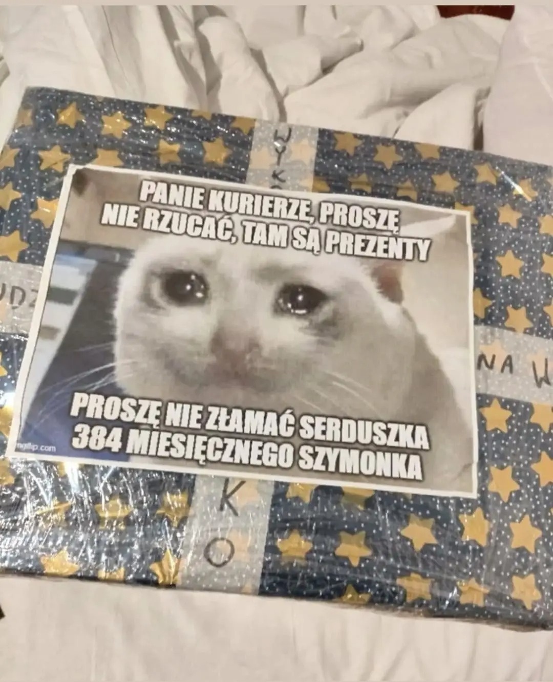 7b3e0bd5-8b44-47b0-88e2-088c769411a7