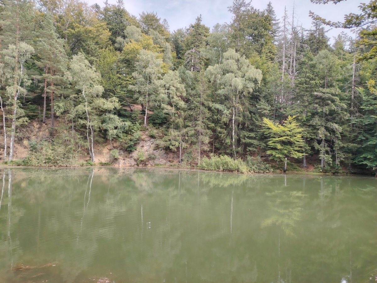 c16bf572-521e-4ef9-ac0a-3ae0027eae7c