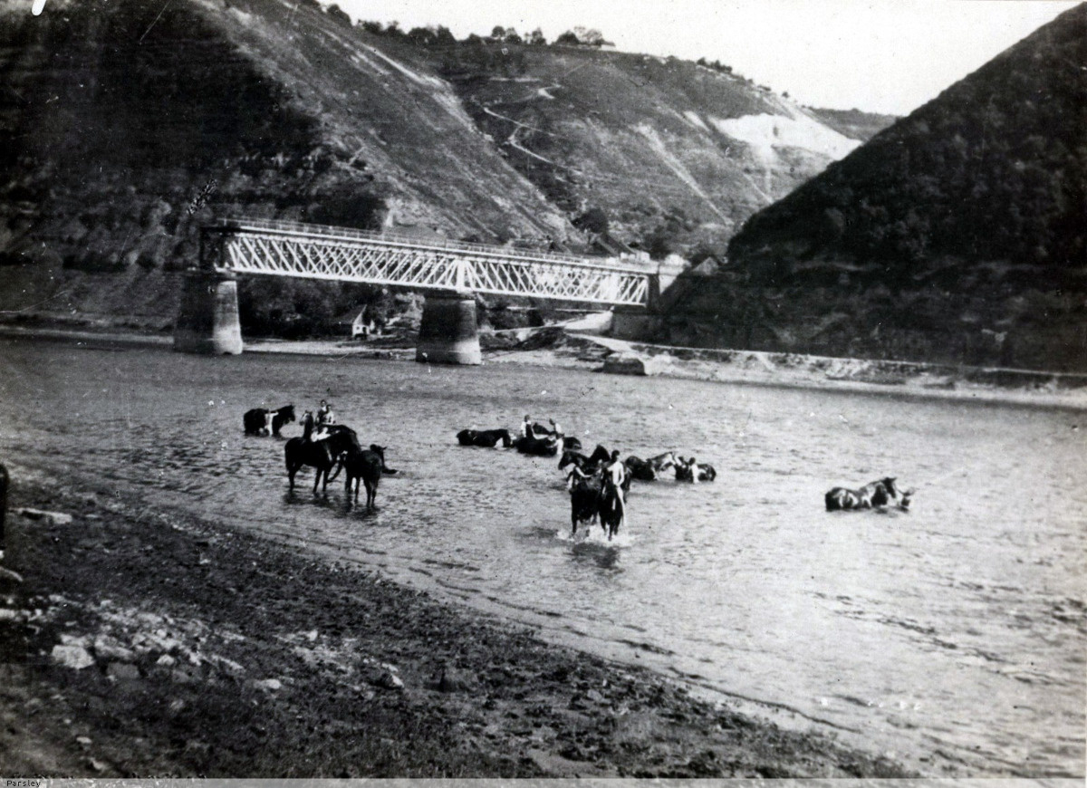 19e301b2-13e6-49d9-a866-6fdc429e2981