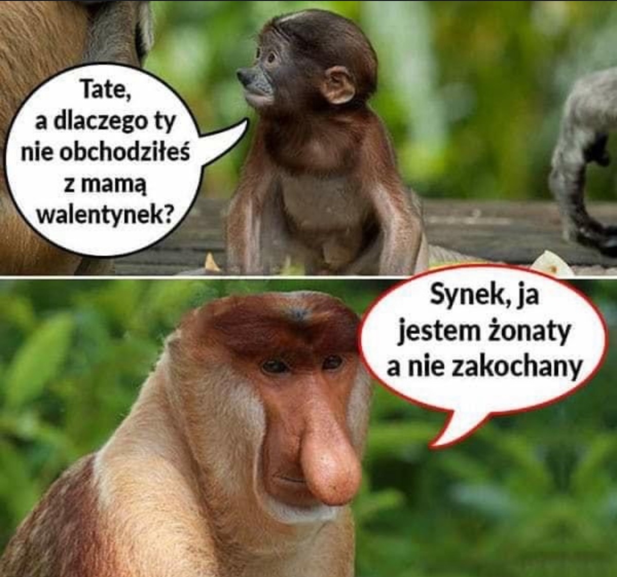 b9f69e64-7145-4f84-b72f-de600cdafb26