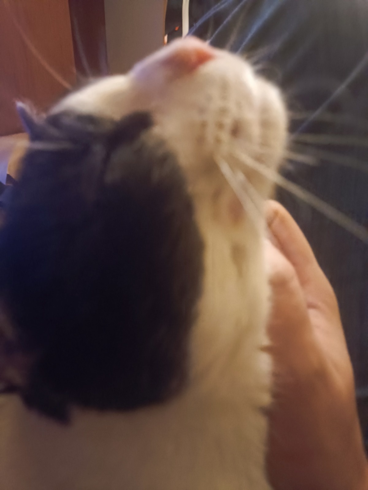 6ecf8ed8-f1f0-46a8-acd7-a3c066113115