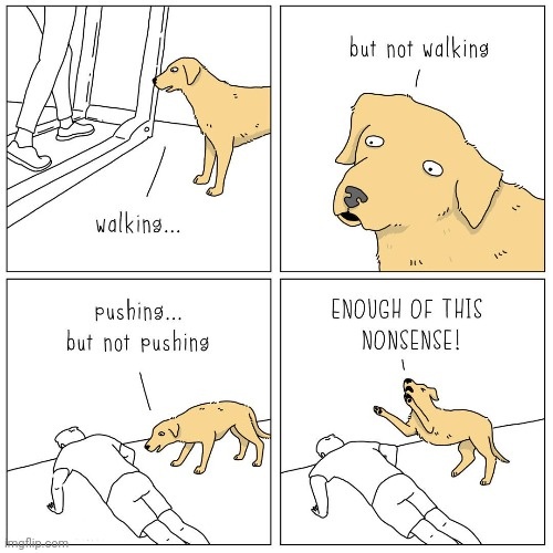 e6498805-abbf-4153-8d76-ad7871a9b9e3