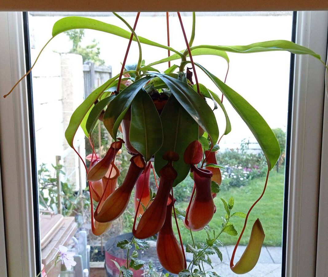 27414c7e-65c1-4f1b-88af-d98811cea065