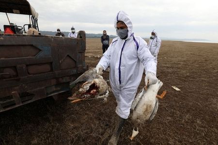 Chiny: 55-latek zakażony ptasią grypą. "Ryzyko epidemii małe"