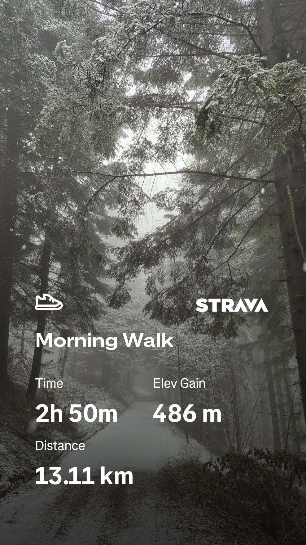 51f5388a-3ed9-4e28-85ac-e68a1372eb43