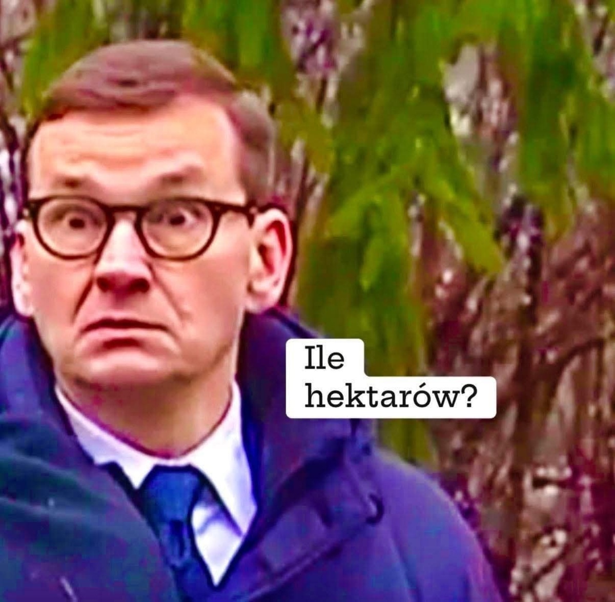 a6e885a6-0326-4bc6-b0d5-9ae50d7593c4