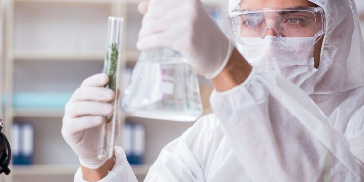 Kannabicyklol Posiada Medyczny Potencjał