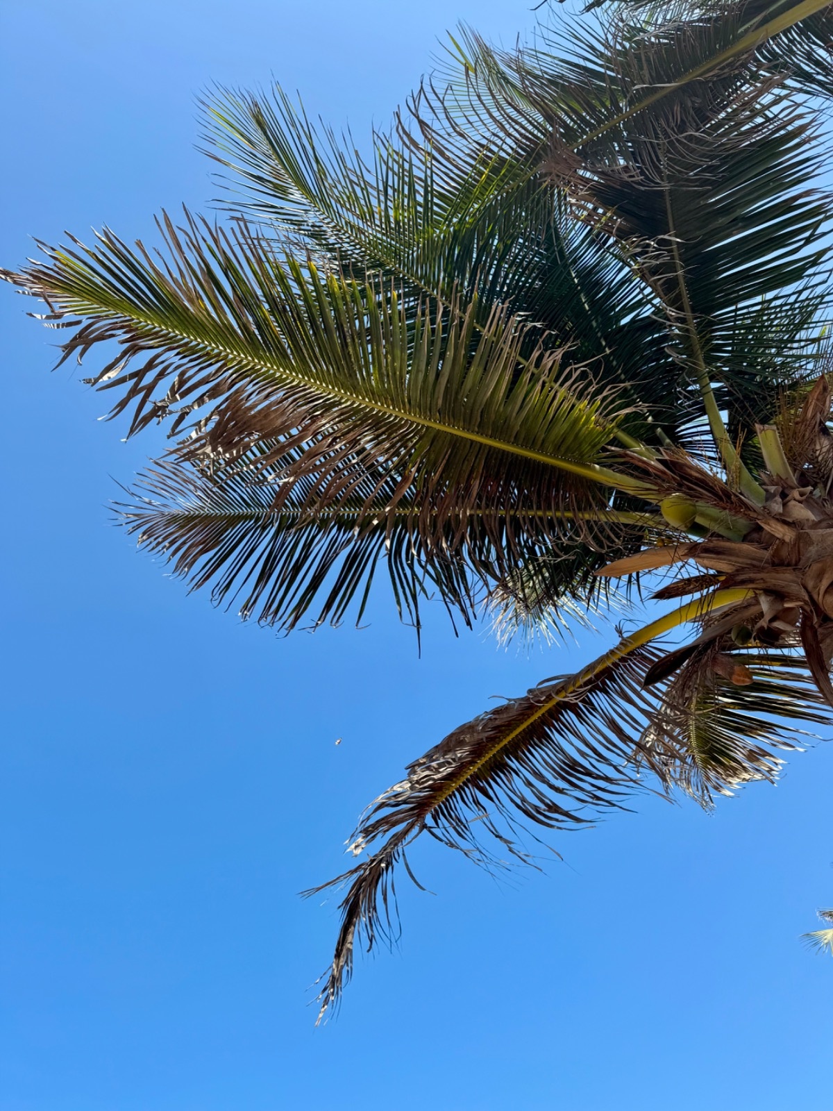 0fefff02-6a7e-4b4d-acdc-a98dc73320d6