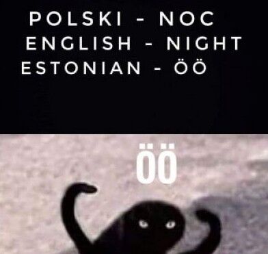 2fb3d9e7-d079-4bdc-a8a8-497791ebecae