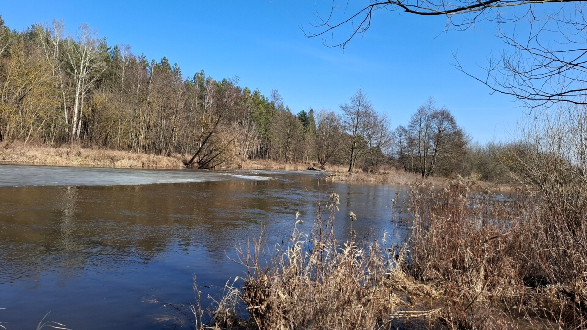 95d0f4a9-97b7-4543-85f0-7a6b64f0f57f