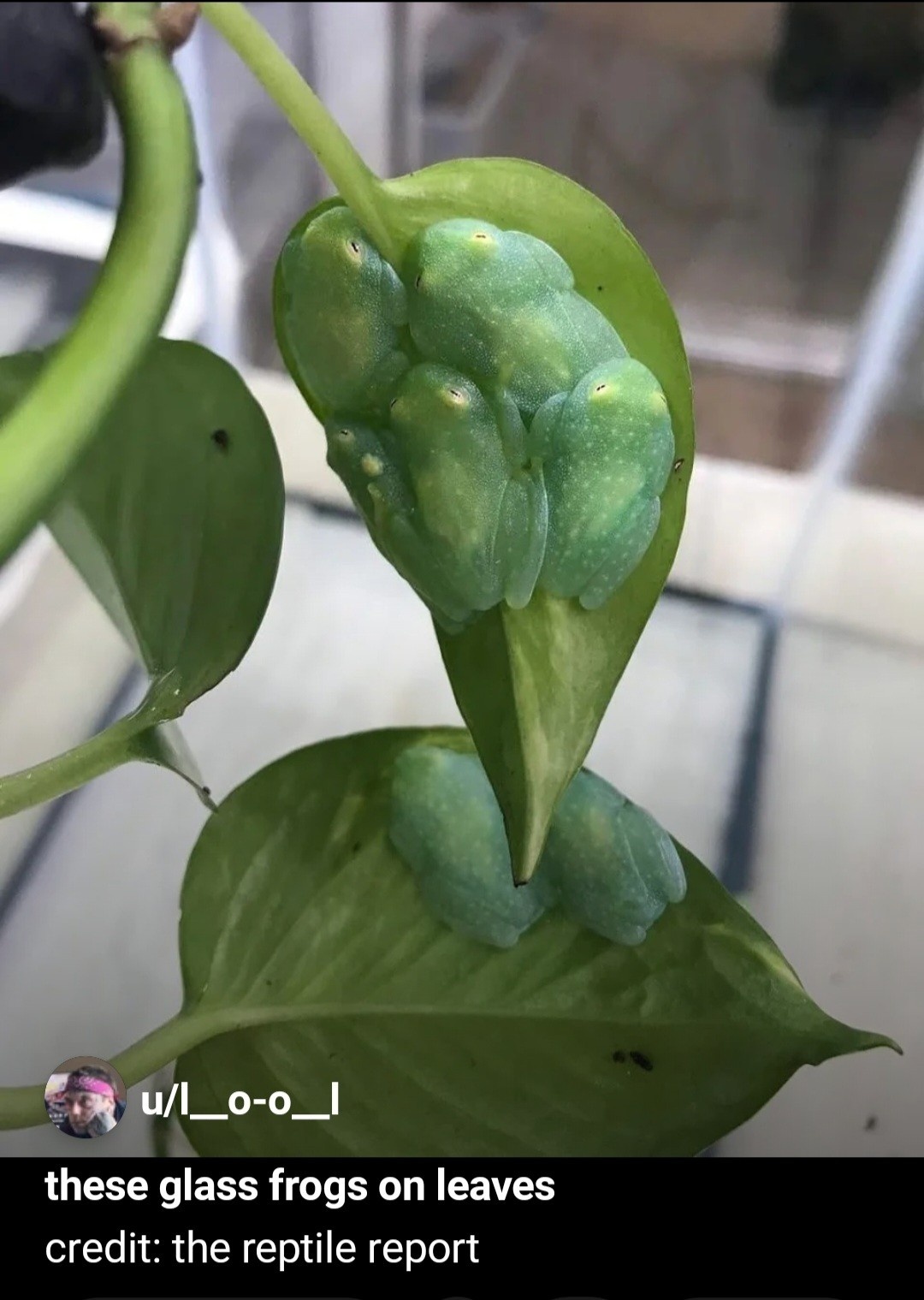 0c359697-8fe8-4e96-b26a-bea74be653fd