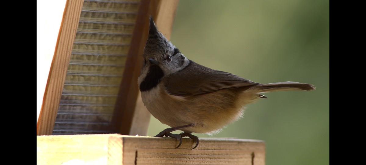 4754a98c-1e54-4324-b79f-f52e0b195613