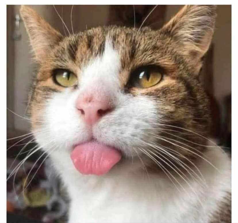 5c3e424e-3e52-42ea-923e-4e2d8a29f039