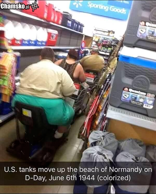 91412e79-7442-4ac0-8eb0-3480ef946f62