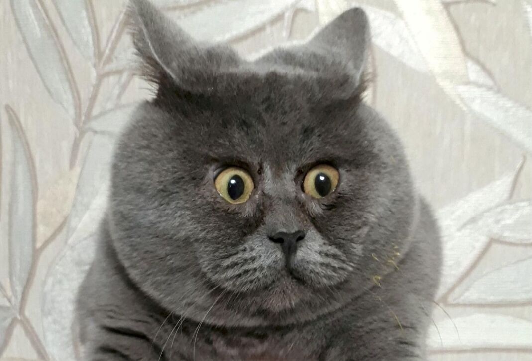 1e1f4bf8-44df-4cb9-becc-14131117e842